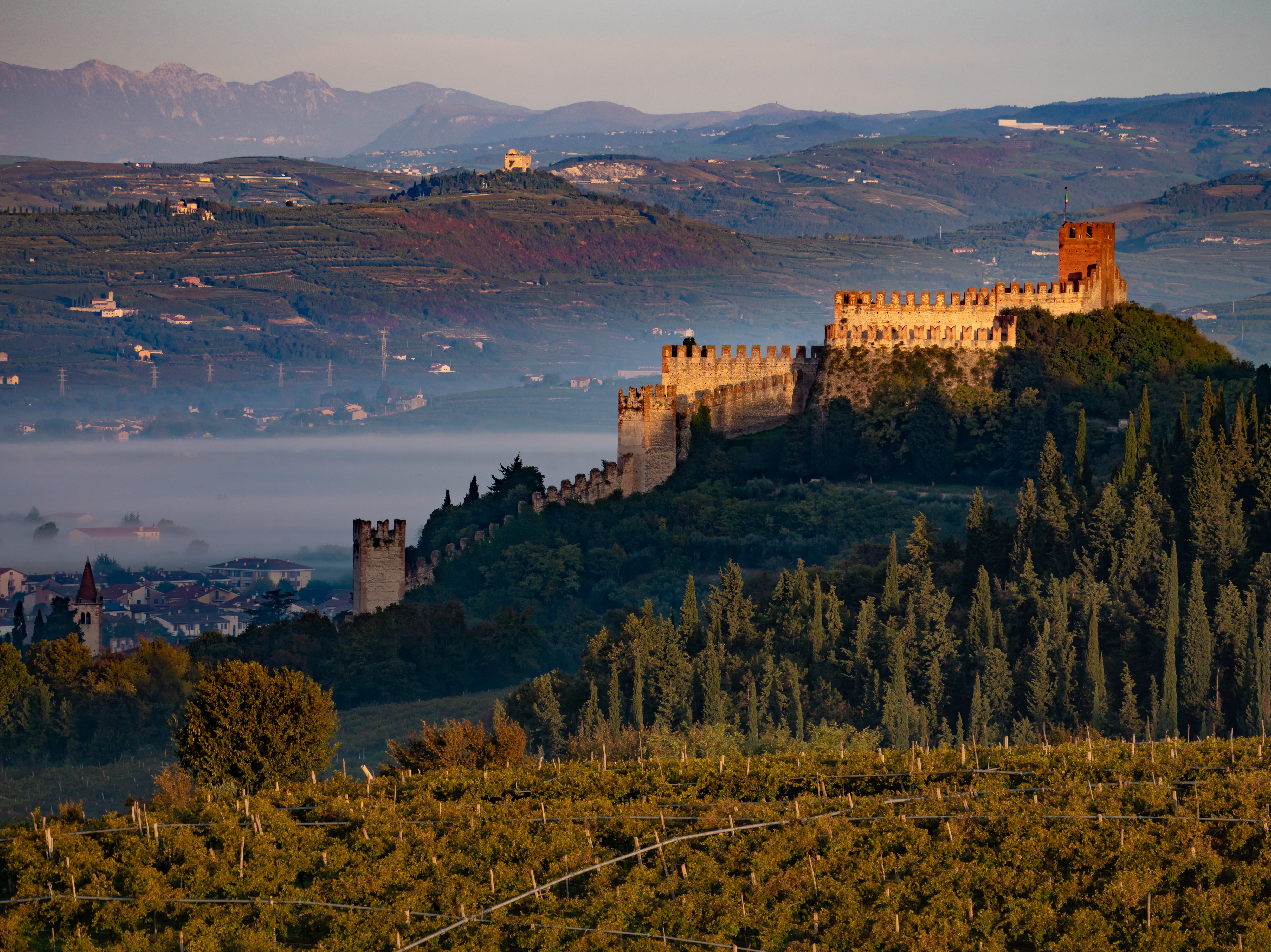 Immagine testo HP 2020